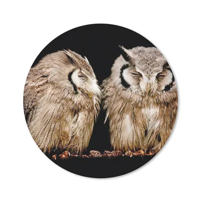 Produktbild von MuchoWow® Mauspad Mousepad Eule - Vogel - Schwarz 30x30 cm - Mousepads - Maus Mat - Pad - Mausunterlage - Tischunterlage - Schreibtischmatten
