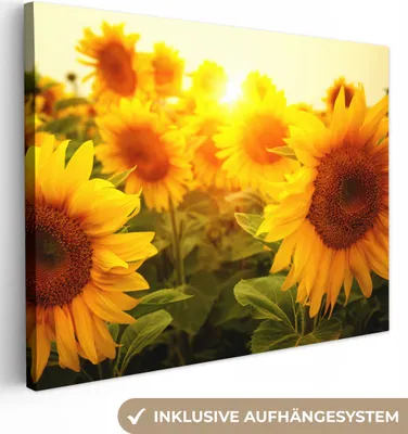 Zdjęcie produktu dla MuchoWow® - Obraz na płótnie - Słonecznik - Żółty - Kwiaty - Słońce, fototapeta, dekoracja ścienna, obrazy do salonu, 120x90cm