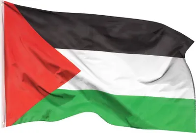 Produktbild von PHENO FLAGS Palästina Flagge Gaza 90 x 150 cm Palästinensische Fahne 2 Ösen