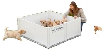 Imagen del producto de Caja para cachorros, puerta con altura ajustable, base absorbente lavable, color blanco