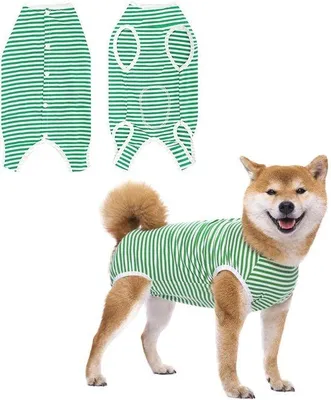 Productafbeelding van Ibenzoa® beschermende body voor honden en kleine dieren na een operatie – ademend, lichtgewicht, een alternatief voor een kraag, machinewasbaar