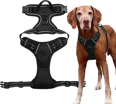Produktbild von Ausbruchsicheres Hundegeschirr, verstellbar und weich gepolstert, für kleine und mittelgroße Hunde