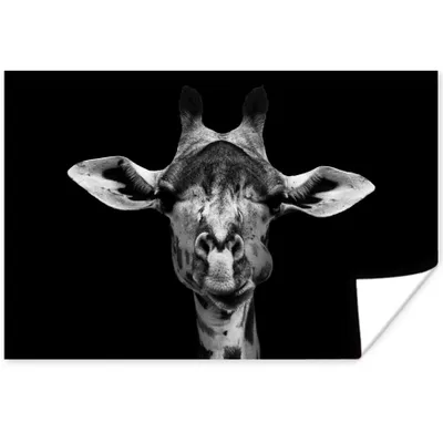 Produktbild von MuchoWow® Poster Giraffe - Tiere - Porträt - Schwarz 90x60 cm - Schlafzimmer