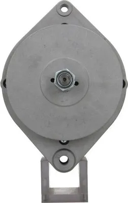 Produktbild von BV PSH 916.001.045.010 Lichtmaschine Generator LiMa 45A 24V