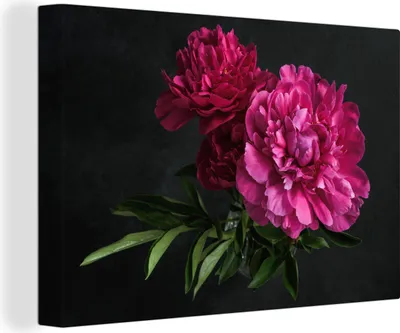 Produktbild von MuchoWow® - Leinwandbilder - Pfingstrosen - Stilleben - Rosa, Wandbild, Wanddeko Bilder Wohnzimmer, 60x40 cm