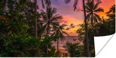 Produktbild von MuchoWow® Poster Sonnenuntergang - Palmen - Strand 40x20 cm - Poster für die Wand - Poster Schlafzimmer