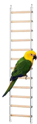 Productafbeelding van Vogelladder voor binnenkooi - Interactief klimspeelgoed