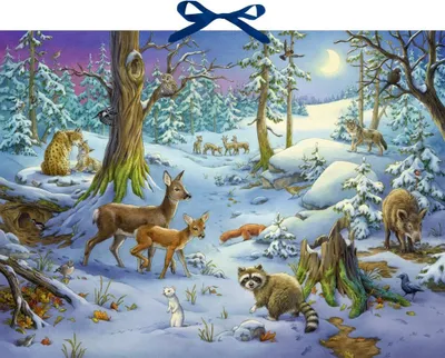 Produktbild von Sound-Adventskalender - Hört ihr die Tiere im Winterwald?