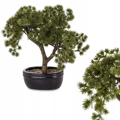 Produktbild von Künstlicher Bonsai-Baum Artpol im Topf Grün 175998