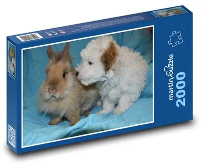 Obrázek produktu pro martinpuzzle - Puzzle 2000 - Zakrslý králík a pes