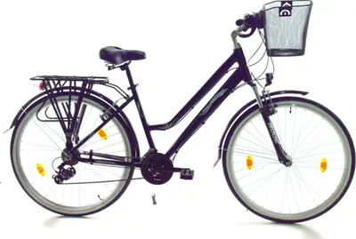 Produktbild von 28 Zoll Alu Damen Herren City Trekking Fahrrad Rad Bike STVO AFA Schwarz