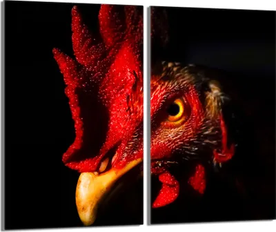 Image de Plaques de recouvrement pour cuisinière 2 pièces 30x52 Couvercle pour plaque vitrocéramique verre, noir animal