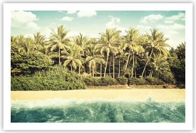 Produktbild von Poster - Poster ohne Rahmen - Natur Strand Palmen - 91,5x61 cm - Wand Bild - Wanddeko - Wandbilder - Kunstposter - Wandposter - Bilder - Kunstdruck - Wanddekoration - Wandbild - P2XAA91x61-4915