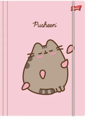 Image de Chemise À Élastique A4 300G Pusheen