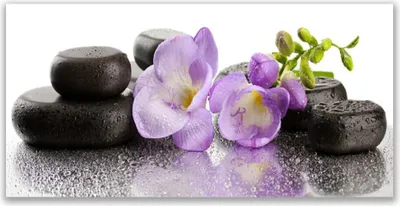 Produktbild von Tulup Leinwand-Bilder 140x70 Wandbild Canvas Kunstdruck Blumen Steine Kunst