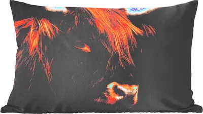 Produktbild von MuchoWow® Zierkissen Sofakissen Wohnzimmer Dekokissen 50x30 cm Schottisches Hochlandrind - Schwarz - Kuh - Horn - Tiere - Wohnzimmerdekoration - Polster mit Photo