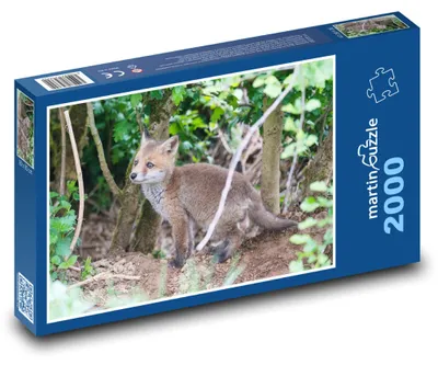Obrázek produktu pro martinpuzzle - Puzzle 2000 - Divoká liška