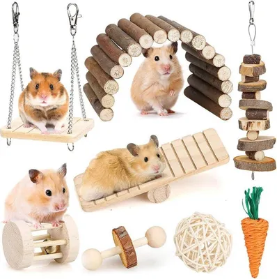 Produktbild von Hamster-Kauspielzeug-Set - Molarspielzeug für Nagetiere, Zahnpflege, Holzzubehör