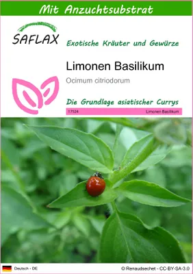 Produktbild von SAFLAX - Limonen Basilikum - Ocimum citriodorum - 200 Samen - Mit keimfreiem Anzuchtsubstrat