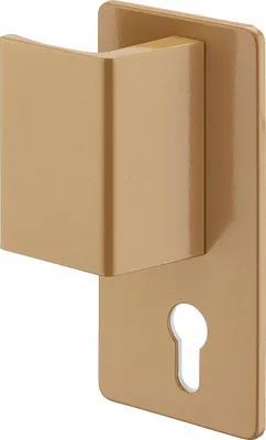Image de Poignée Targa pour porte palière, gauche, or - THIRARD