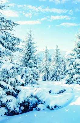 Produktbild von Winter Ohne Text Fotokarte mit Briefumschlag - Grußkarte