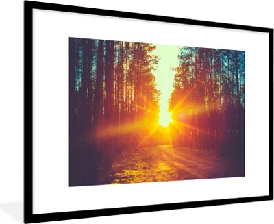 Produktbild von MuchoWow® Gerahmtes Poster Sonnenuntergang - Bäume - Wald - Natur 90x60 cm - Poster mit Schwarzem Bilderrahmen Wandposter Rahmen Foto Bilder - Wanddekoration - Fotos