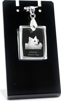 Image de Chien esquimau américain - Pendentif en cristal avec chien, collier avec photo, bijoux uniques d'Art-Dog