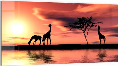 Produktbild von DEQORI Glasbild Echtglas 100x50 cm 'Sonnenuntergangssafari' Wandbild Bild modern Deko