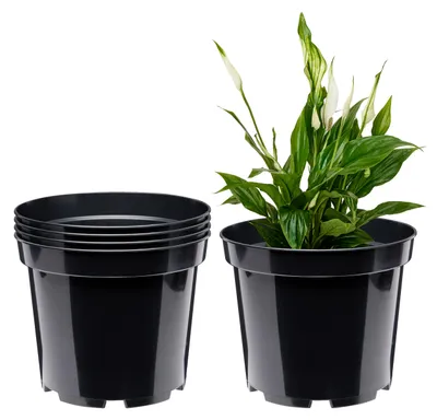 Produktbild von Garronda Blumentopf GD-0025 (5 Stück Schwarz, ⌀ 31cm H 25,5cm)