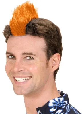 Produktbild von Punk Crest orange