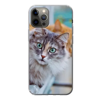 Produktbild von MuchoWow® Handyhülle Schutzhülle Hülle für iPhone 13 Pro Katze - Fenster - Katzen Silikon Softcase Handy Hülle - Handy-Tasche