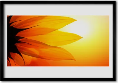 Produktbild von Bild 100x70 MDF-Rahmen Wandkunst Natur Blume Pflanze