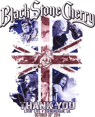 Produktbild von Black Stone Cherry: Thank You: Livin' Live