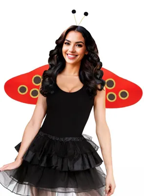 Image de Kit de déguisement Coccinelle