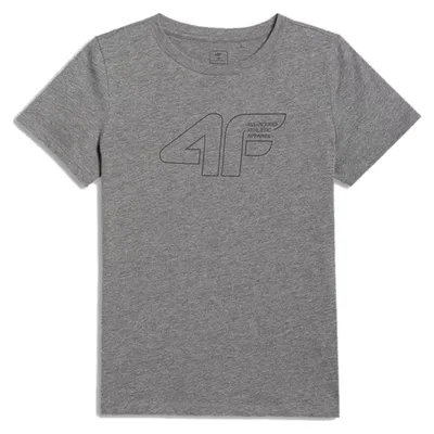 Produktbild von 4F Tshirts KOSZULKA4FM2417REDNISZARYMELAN164, Größe: 160
