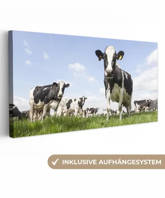 Produktbild von MuchoWow® - Leinwandbilder - Kühe - Gras - Tiere - Sonne - Bauernhof, Wandbild, Wanddeko Bilder Wohnzimmer, 80x40cm