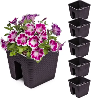 Produktbild von Satz von 5 Stck Balkonkiste 8,5 L Blumenkasten Geländerkasten Balkonkasten Geländertopf 27,2 cm x 27,2 cm H 22,5 cm Farbe Umbra Rattan-Imitat Quadrat aus Kunststoff Modern Glamour Geschenkdekoration