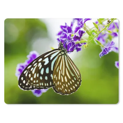 Produktbild von MuchoWow® Mauspad Mousepad Lavendel - Schmetterling - Botanisch 23x19 cm - Mousepads - Maus Mat - Pad - Mausunterlage - Schreibtischunterlage - Mauspad