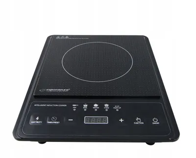A black induction cooker is shown from a front-facing, slightly elevated angle against a white background.