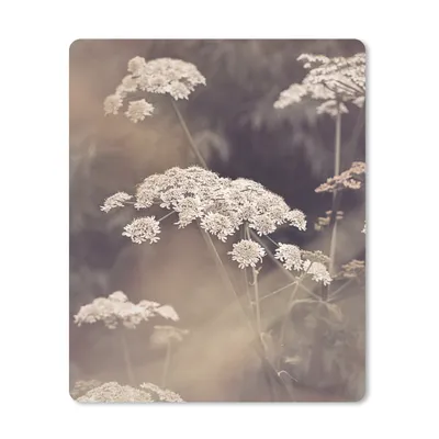 Produktbild von MuchoWow® Mauspad Mousepad Pflanze - Weiß - Natur - Blumen 19x23 cm - Mousepads - Maus Mat - Pad - Mausunterlage - Mauspads - Spielen