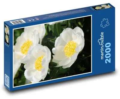 Obrázok produktu pre Puzzle 2000 Biele pivonky v rozkvete - martinpuzzle