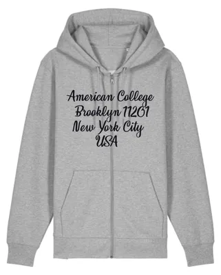 Productafbeelding van AMERICAN COLLEGE USA Uni Pullover Hoodie, mix van mannen- en vrouwenmodellen, sweatshirt, grijs