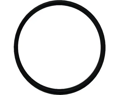 Produktbild von O-ring für UVC-Einheit