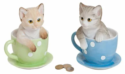 Produktbild von Spardose Katze in Tasse Sparbüchse Katze Tasse