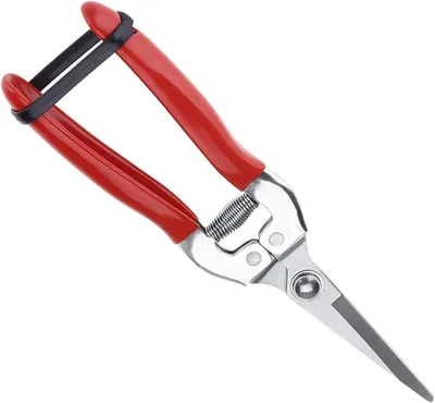 Productafbeelding van Snoeischaar, rechte snoeischaar, roestvrijstalen tuinschaar, kleine multifunctionele tuinschaar voor planten, bloemen, fruit en groenten (20 cm)