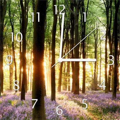Produktbild von Wallario Design Wanduhr Blaue Hasenglöckchen im Wald mit Sonnenstrahlen aus Echtglas, Größe 30 x 30 cm