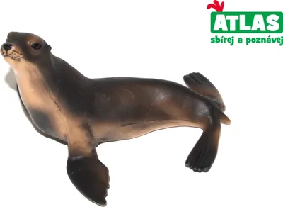 Immagine prodotto di C - Figura di leone marino 10 cm