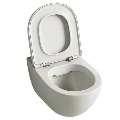Produktbild von Rimless-WC-Becken mit langsam schließendem Duroplast-Sitz, Wirbelspülung, 49 cm