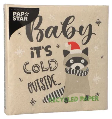 Zdjęcie produktu dla PAPSTAR 89363 PAPSTAR Servietten It´s cold outside 20 St.