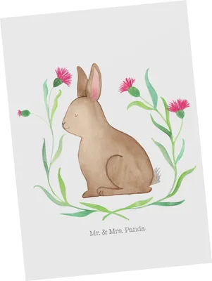 Produktbild von Mr. & Mrs. Panda Postkarte Hase Sitzen - Weiß - Geschenk, Grußkarte, Fotokarte, Liebe, Ansichtskarten, Ostern, Ostergrüße, Postkarten, Frohe, Osterhase, bildkarte